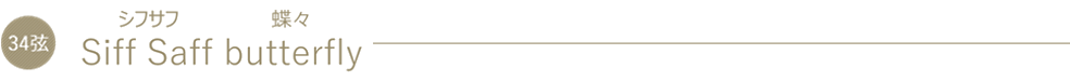 34弦 Siff Saff  butterfly（シフサフ 蝶々）
