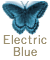 Electric Blue butterfly