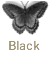 Black butterfly